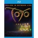 Toto - Falling In Between Live