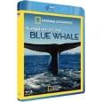 National Geographic - Kingdom of the Blue Whale
