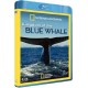 National Geographic - Kingdom of the Blue Whale