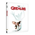 Gremlins + Gremlins 2 : La nouvelle génération