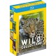 National Geographic - Wild Collection : Amérique sauvage + Inde sauvage + Hawa