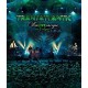 Transatlantic : KaLIVEoscope in Cologne into the Blu