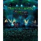 Transatlantic : KaLIVEoscope in Cologne into the Blu