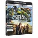 Ninja Turtles 2