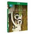 Madagascar - Le monde perdu