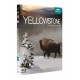 Yellowstone, la lutte pour la vie