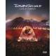 David Gilmour - Live at Pompeii