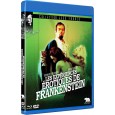 Les Expériences érotiques de Frankenstein