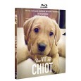 Une vie de chiot