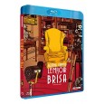 Le Miroir se brisa