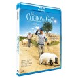 Le Cochon de Gaza