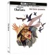 Les Oiseaux