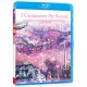 5 Centimeters per Second