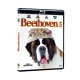 Beethoven 3