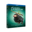 Les Animaux fantastiques : Les Secrets de Dumbledore