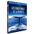 Les Gardiennes de la planète