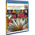 Antoine - Naturellement... - Fleurs & plantes