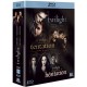 Twilight - Chapitre I : Fascination + Chapitre II : Tentation + Chapitre III : H