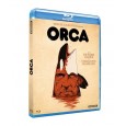 Orca