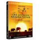 National Geographic - Les grandes migrations