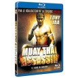 Muay Thai Assassin - Le sang du dragon