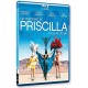 Priscilla, folle du désert