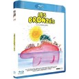 Les Bronzés