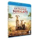 La Famille suricate