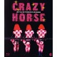 Crazy Horse