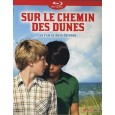 Sur le chemin des dunes