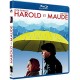 Harold et Maude