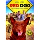 Red Dog