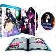 Accel World - L'intégrale