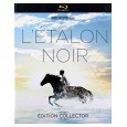 L'Etalon noir