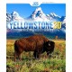 Yellowstone 3D