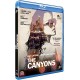 The Canyons