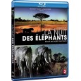 La Nuit des éléphants