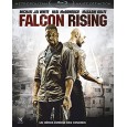 Falcon Rising