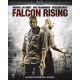 Falcon Rising