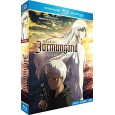 Jormungand : Perfect Order - Saison 2 intégrale